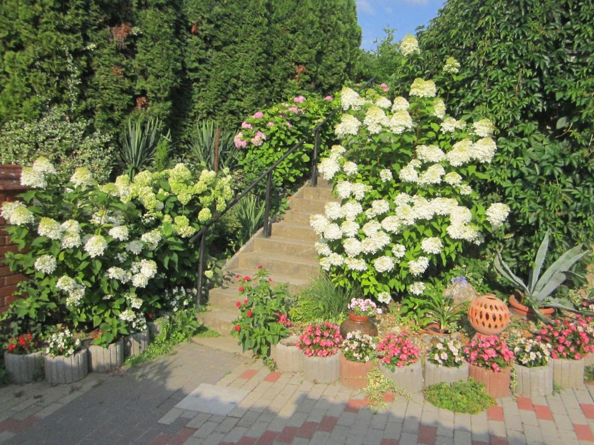 Rozsadomb Apartman Zalakaros Esterno foto